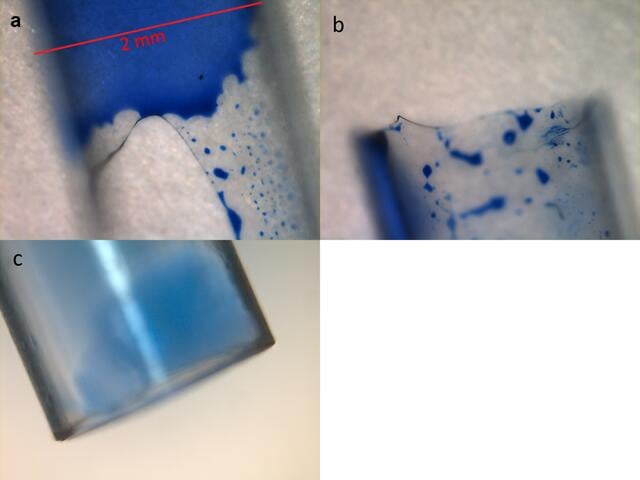 [Figure 4]