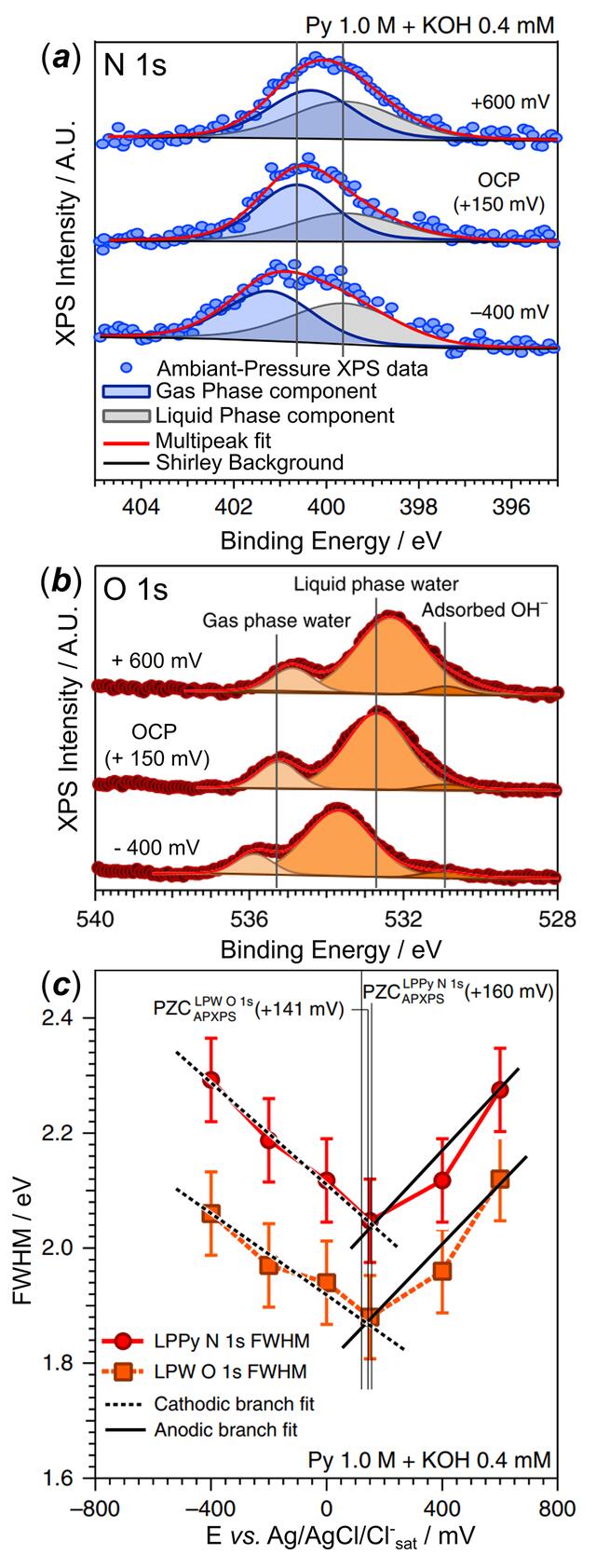 [Figure 6]