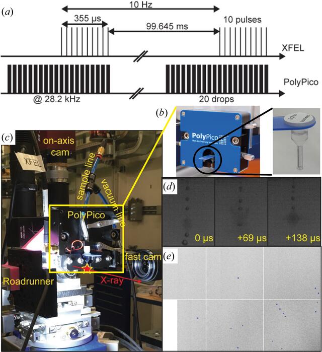 [Figure 6]