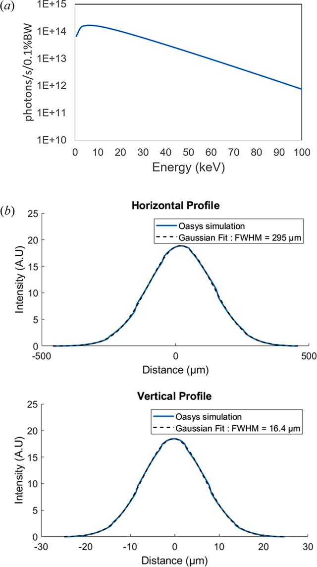 [Figure 1]