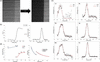 [Figure 5]