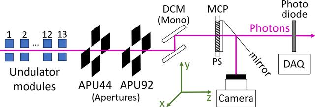 [Figure 1]