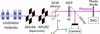 [Figure 1]