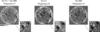 [Figure 2]