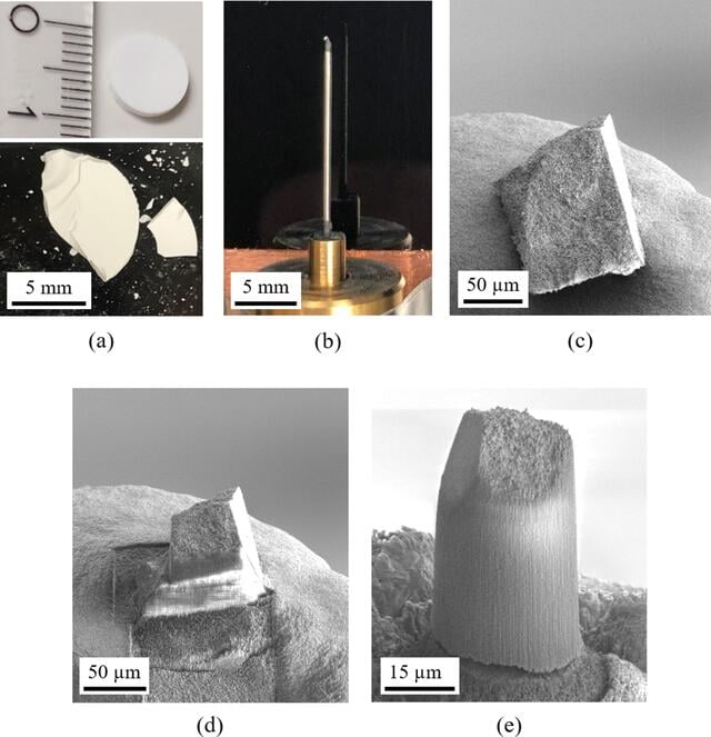 [Figure 7]