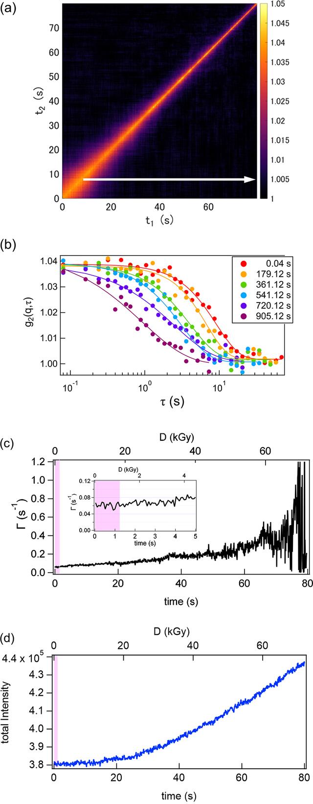 [Figure 2]