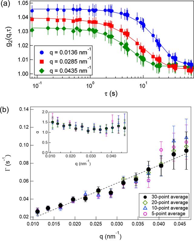 [Figure 4]