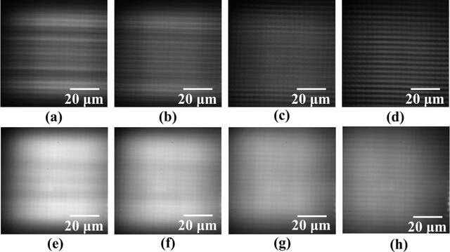 [Figure 9]