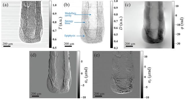 [Figure 7]