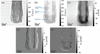 [Figure 7]
