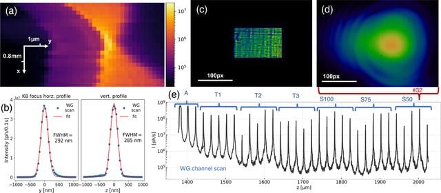 [Figure 5]