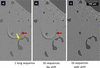 [Figure 9]