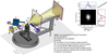 [Figure 1]