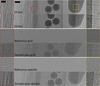 [Figure 2]