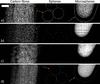 [Figure 3]