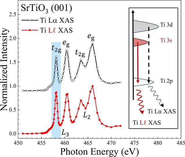 [Figure 2]