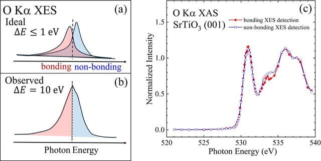 [Figure 3]