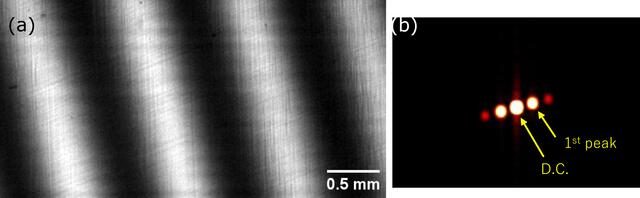 [Figure 4]