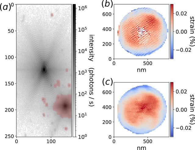 [Figure 5]