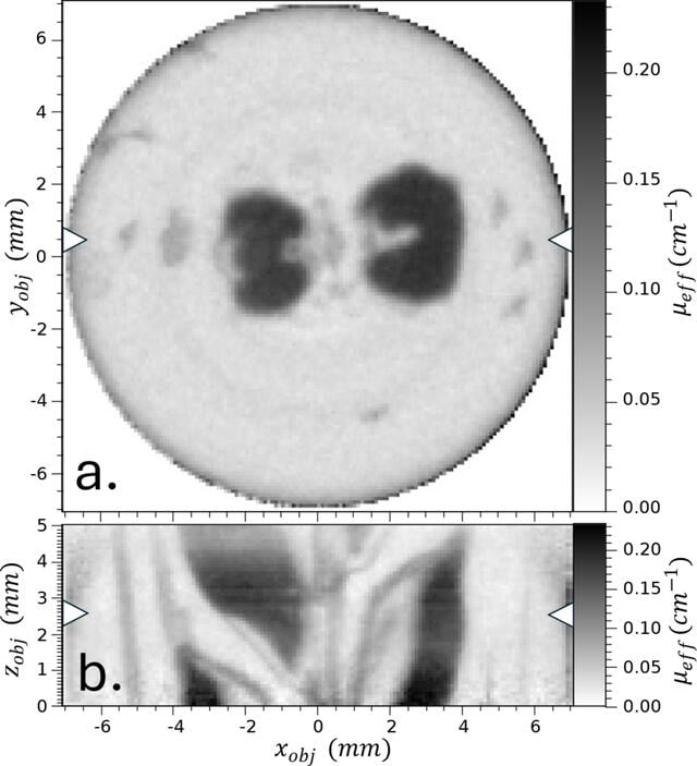 [Figure 9]
