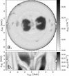 [Figure 9]