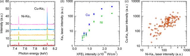 [Figure 2]