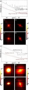 [Figure 11]