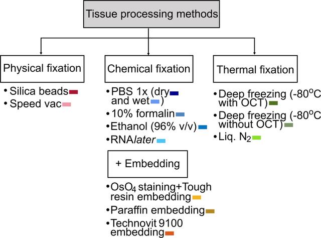 [Figure 2]