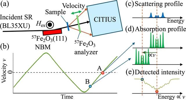 [Figure 1]