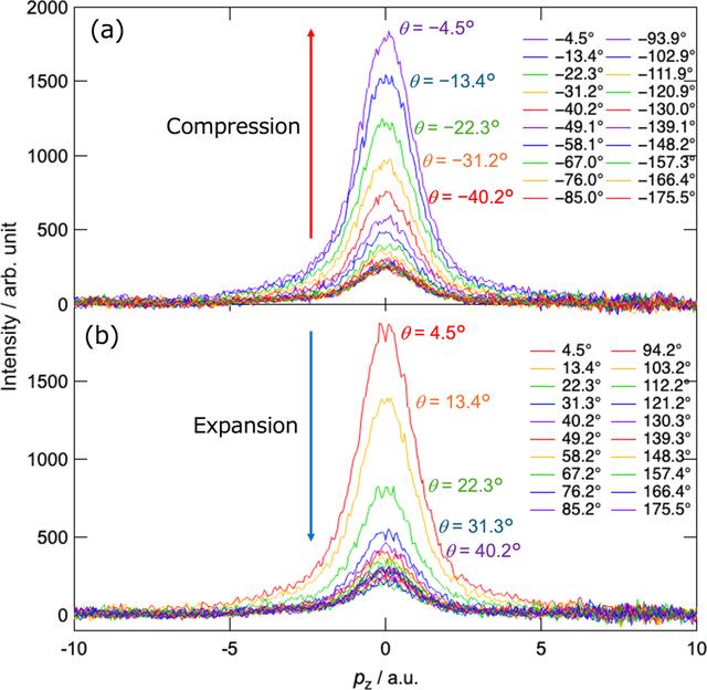 [Figure 2]