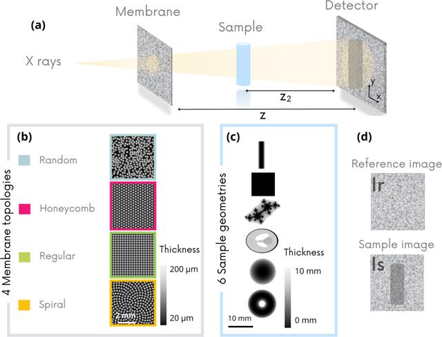 [Figure 1]
