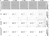 [Figure 2]