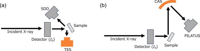 [Figure 1]