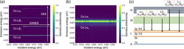 [Figure 2]