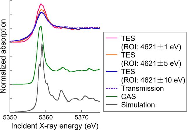 [Figure 5]