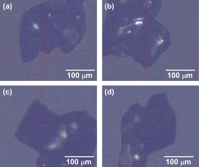 [Figure 2]