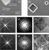 [Figure 10]