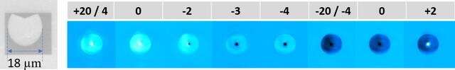 [Figure 11]