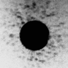[Figure 4]