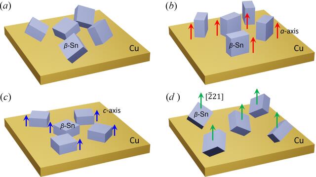 [Figure 10]