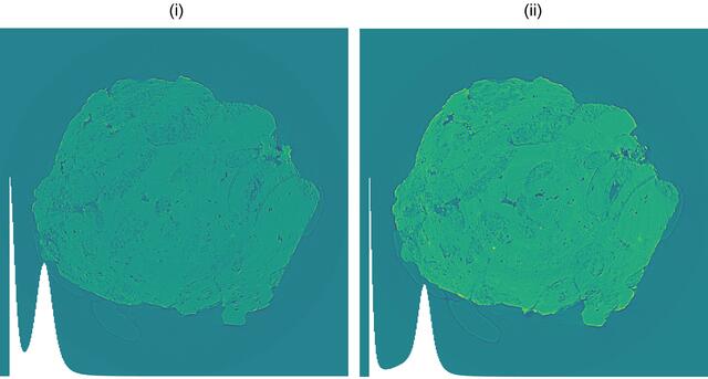 [Figure 7]
