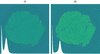 [Figure 7]