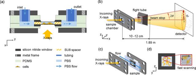 [Figure 1]