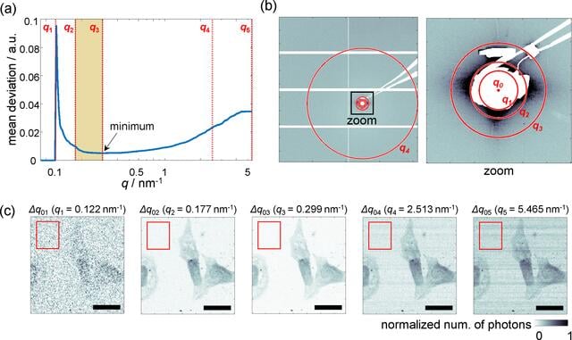 [Figure 2]