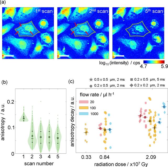 [Figure 4]