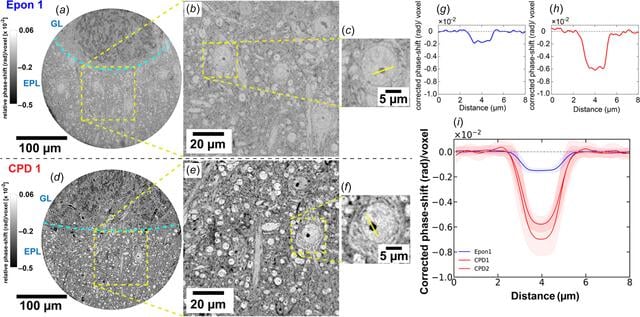 [Figure 4]