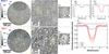 [Figure 4]