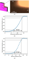 [Figure 2]