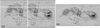 [Figure 5]
