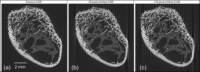 [Figure 7]